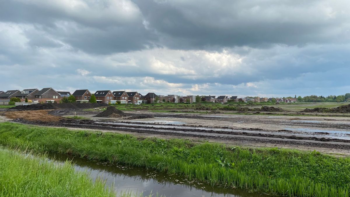 Natuurcompensatie voor ganzen bij Kloosterveen pas eind 2023 klaar