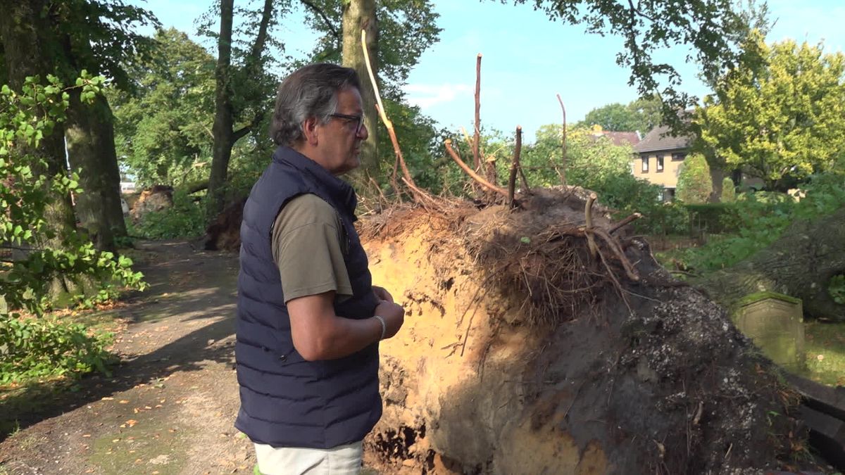 Noodweer richt ravage aan op oude begraafplaats in Den Ham: 