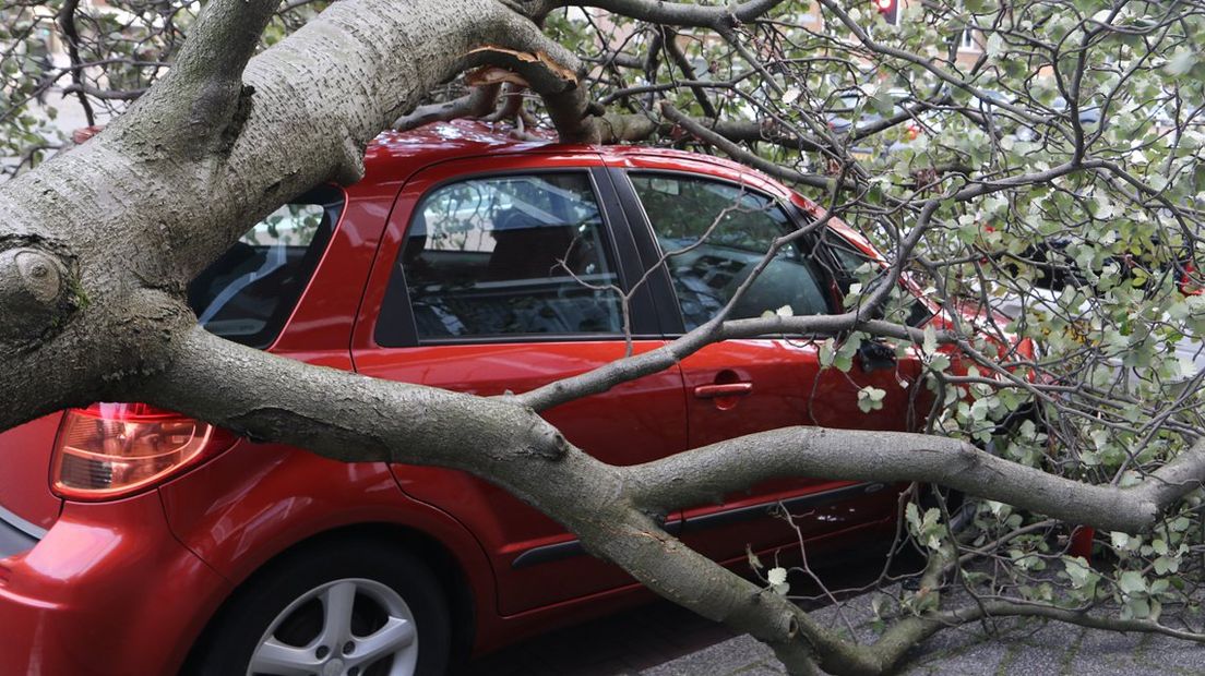 Boom op auto in Vreeswijkstraat