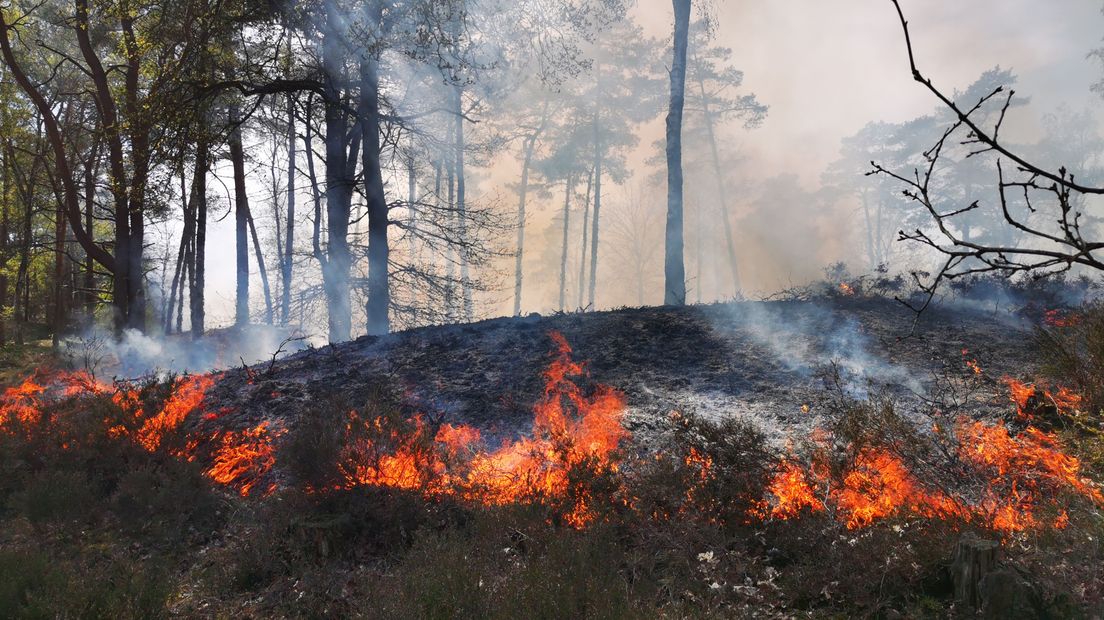 Brand in Soest in april.