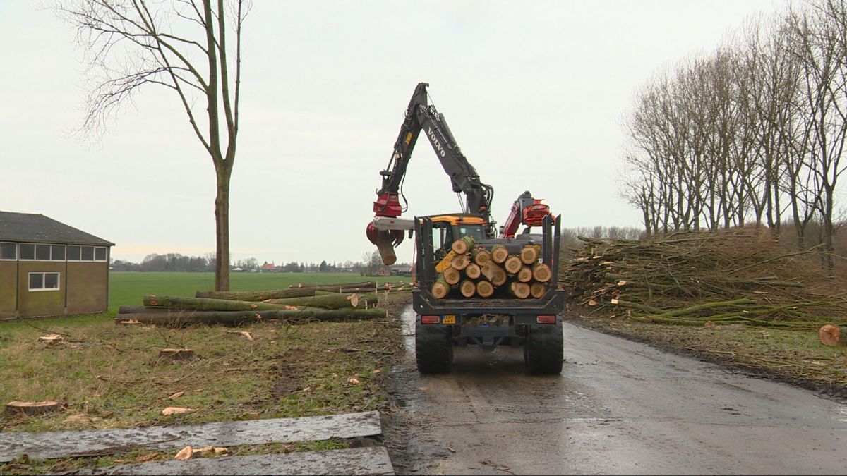 Rijd je vaak op de N392 tussen Tijnje en Terwispel? Dan moet je de komende tijd een andere route nem