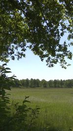 Grote militaire oefening