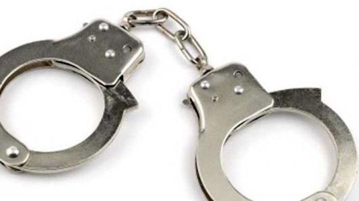 Man uit Schuinesloot steelt vijf minikranen