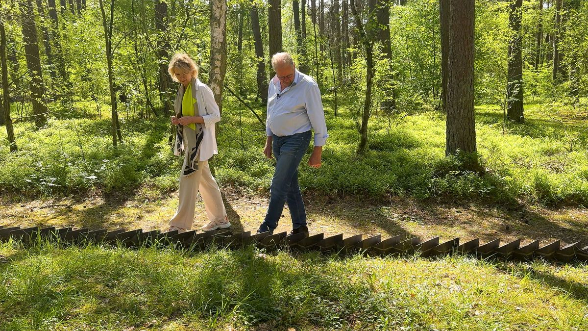Ontdek de verborgen geschiedenis van Leusden in de DocU Schaduwen van het Verleden
