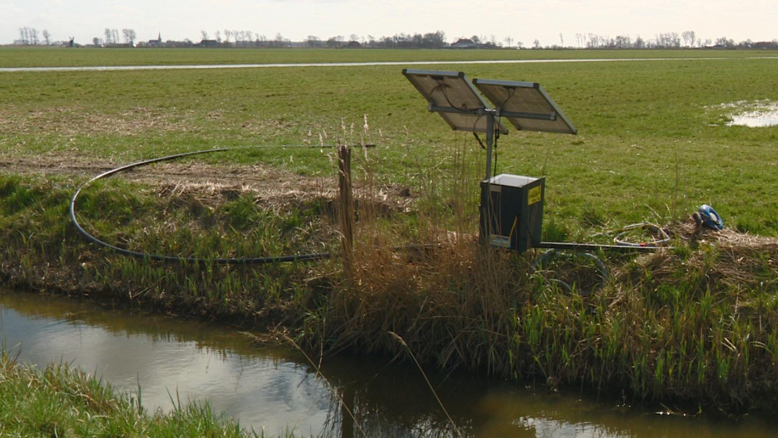Plasdraspompen en sinnepanielen