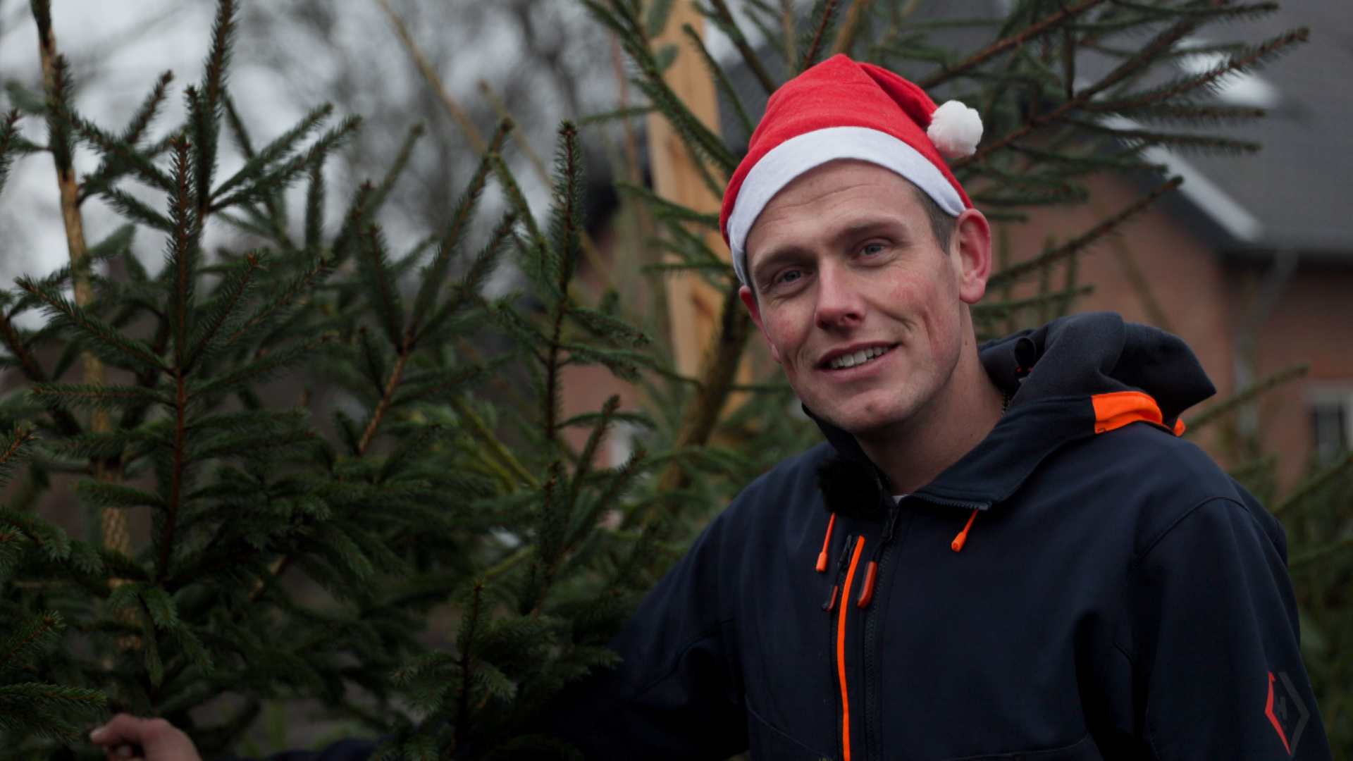 Droom komt uit voor kerstboomverkoper Tom