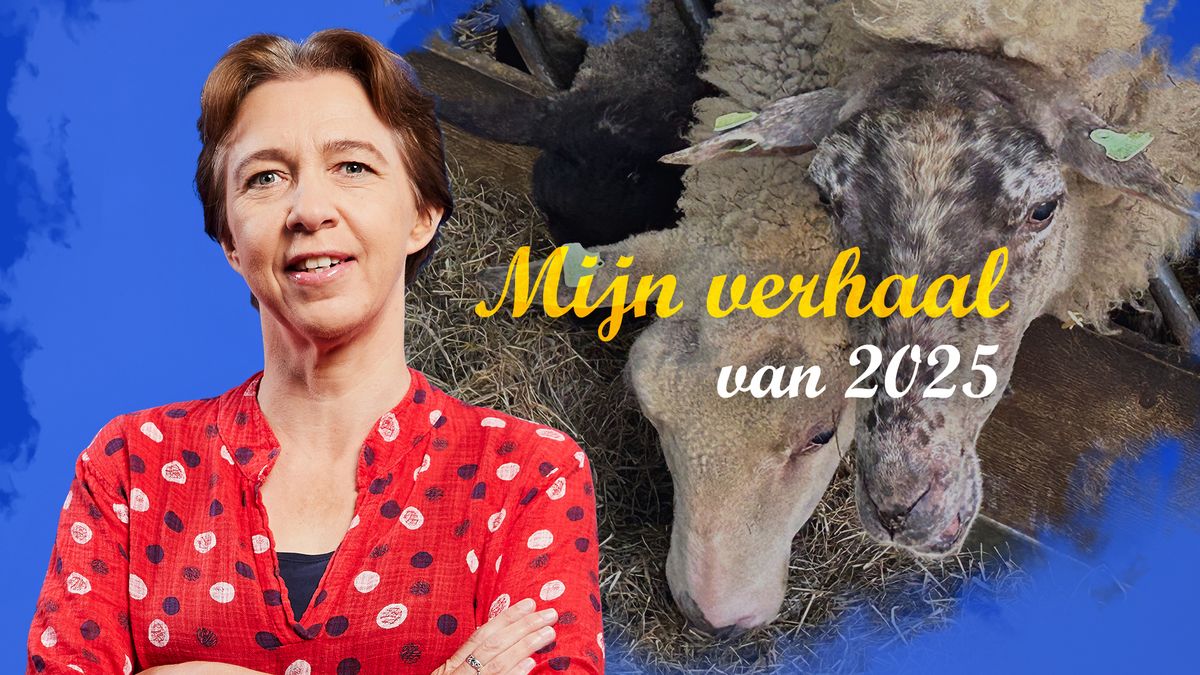 Schapenhouders Martin en Elsa Reitsma zien hun vak moeilijker worden: 