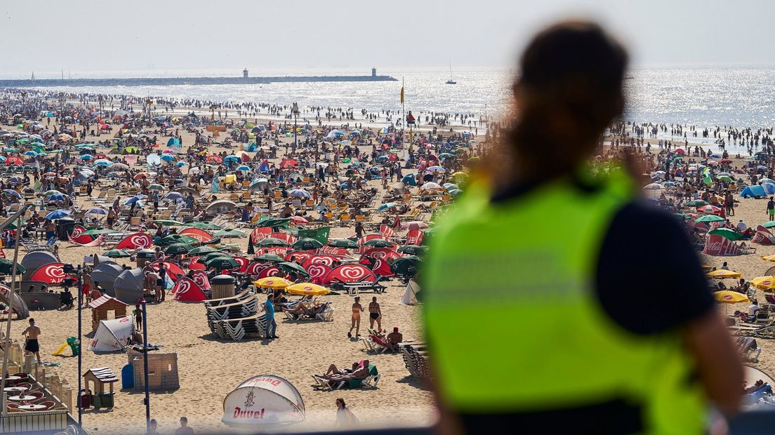 Een boa hield afgelopen zomer toezicht op een vol strand op Scheveningen