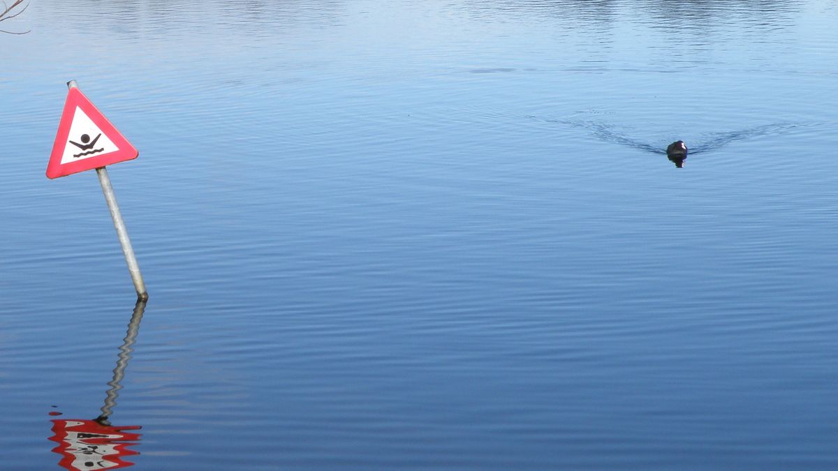 Ziekte van Weil in Haalderen, twee mensen in het ziekenhuis - Omroep