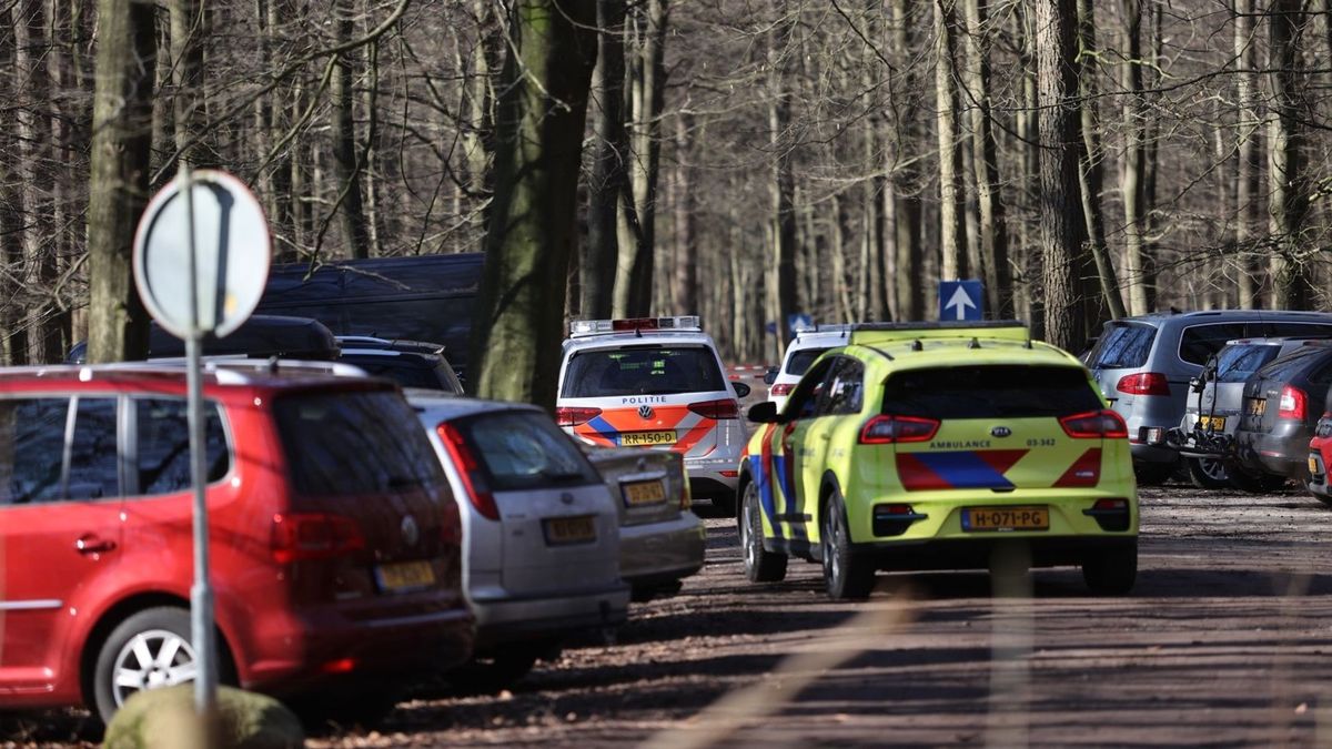 Man die zoontje wilde doden bij Boomkroonpad: 'Het spijt mij zo'