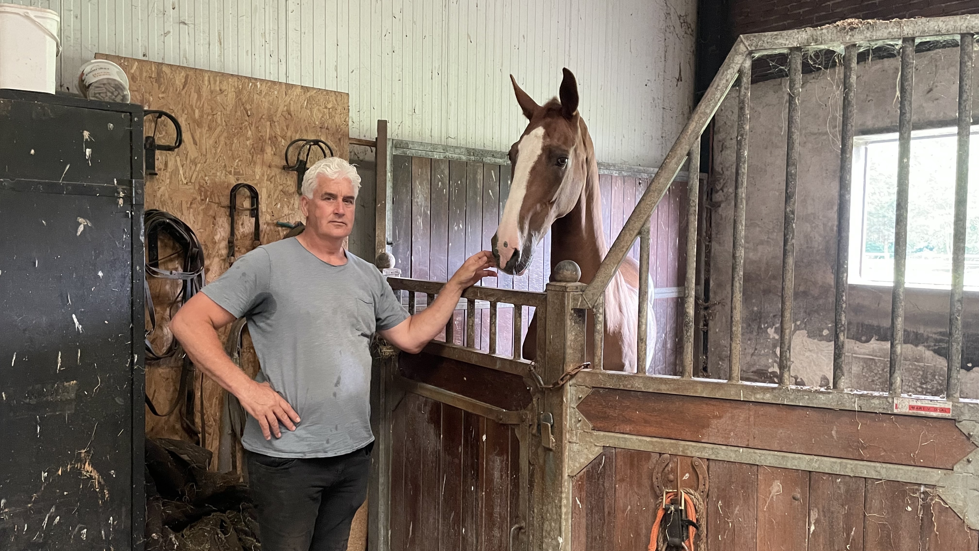 Amadeus rijdt voor het laatst in Norg: 'Zo'n paard krijg je één keer in je leven'