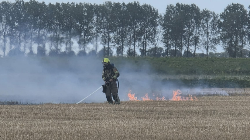 Brand verwoest halve hectare tarwe in Graauw