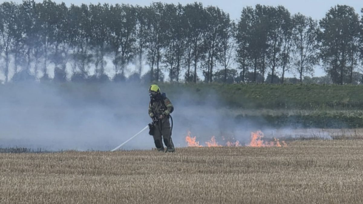 Brand verwoest halve hectare tarwe in Graauw