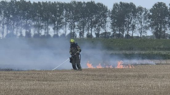 Brandweer België helpt bij blussen van tarweveld in Zeeuws-Vlaanderen Nieuws