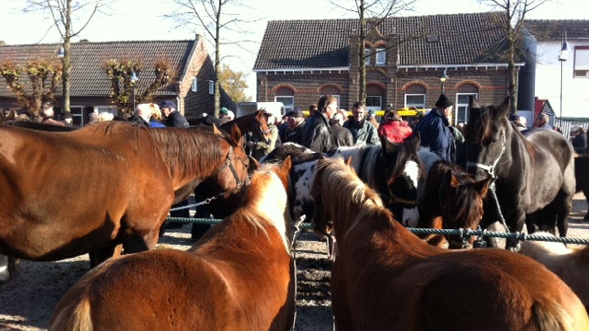 Lottum weer in de ban van de paardenmarkt