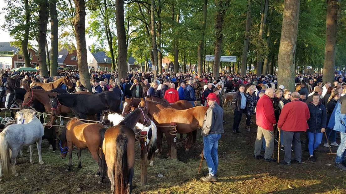 Paarden en bezoekers op de Zuidlaardermarkt van 2019 (Rechten: RTV Drenthe / Robbert Oosting)