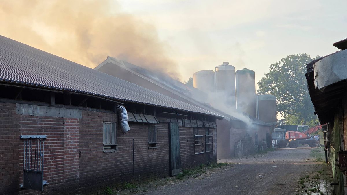 112 Nieuws: Schuurbrand in Lemelerveld | Kat in plastic zak gevonden