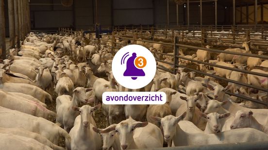 GGD-waarschuwing genegeerd en bouw 100.000 huizen in gevaar: dit was 26 februari