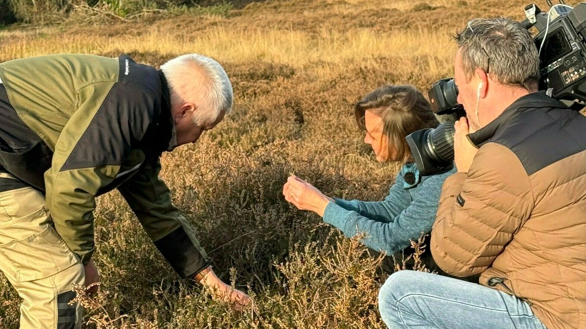 Drenthe in het klein aan de rand van de Hondsrug