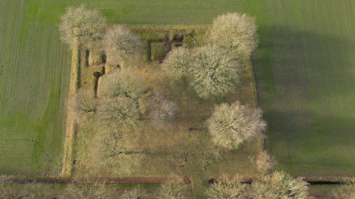 Drentse natuur in vogelvlucht