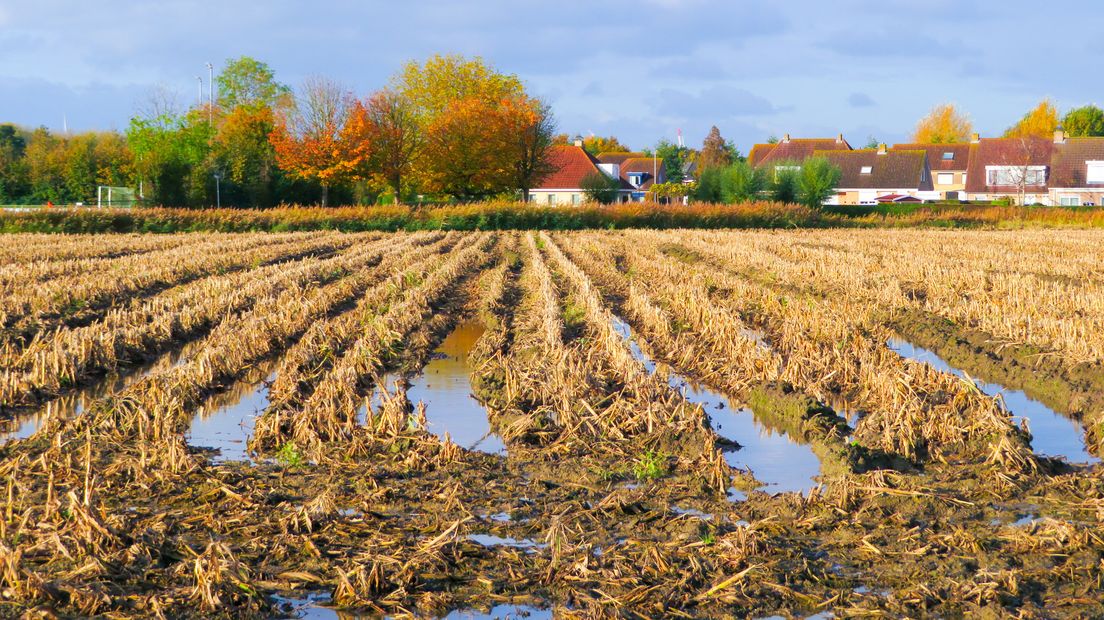 Plassen op het land in 's-Heerenhoek