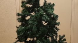 Wie kan een kerstboom met versiering goed gebruiken?