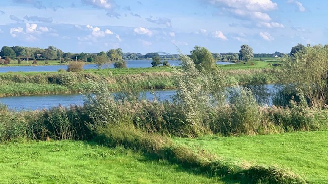 Schone IJssel belangrijk voor biodiversiteit en drinkwaterwinning