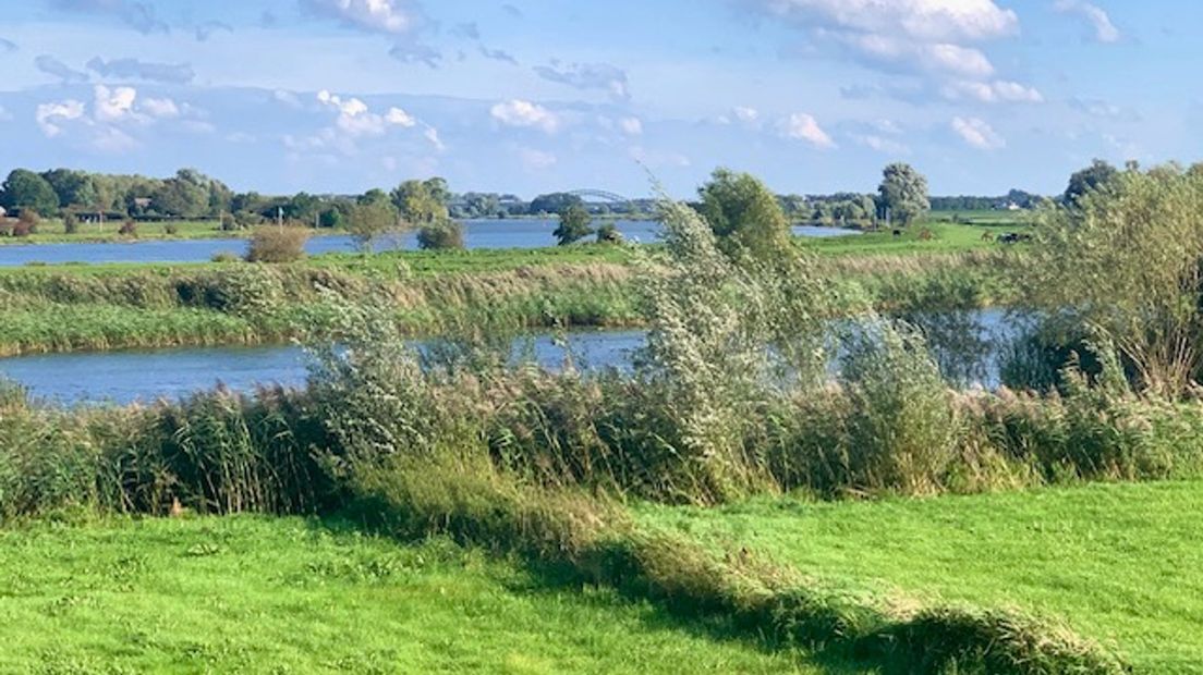 Schone IJssel belangrijk voor biodiversiteit en drinkwaterwinning
