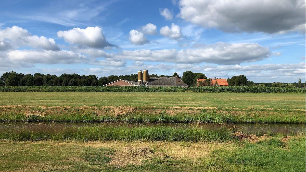 Veehouder Beerzerveld stelt inwoners gerust: 