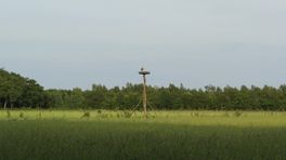 De historie van landgoed Landarbeid