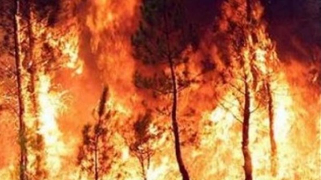 Bosbrand in Spanje