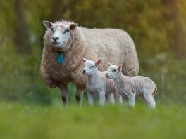 Hoe beleef je de Drentse lente het best? Buiten!