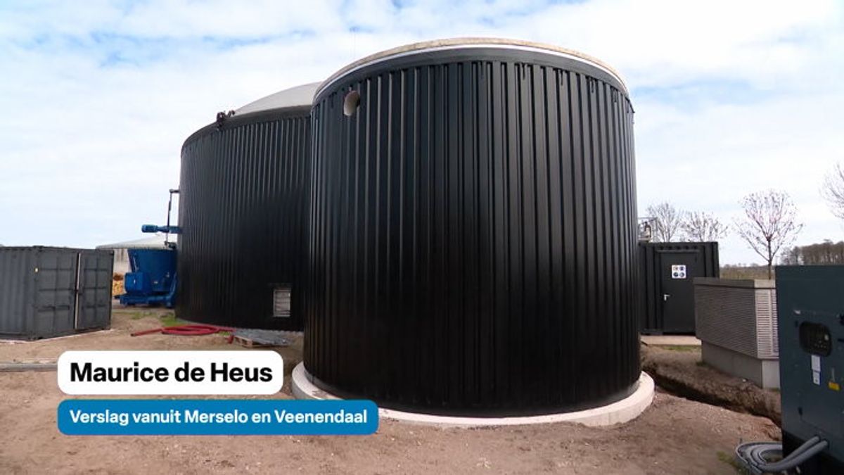 NP Geen olie meer? Deze boeren voorzien Merselo van biogas