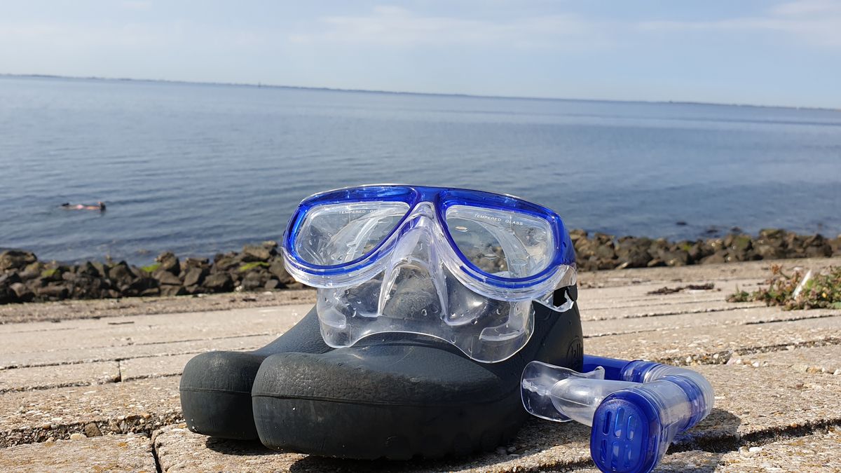 Zeeland volop aanwezig in top 10 beste snorkelplekken van Nederland
