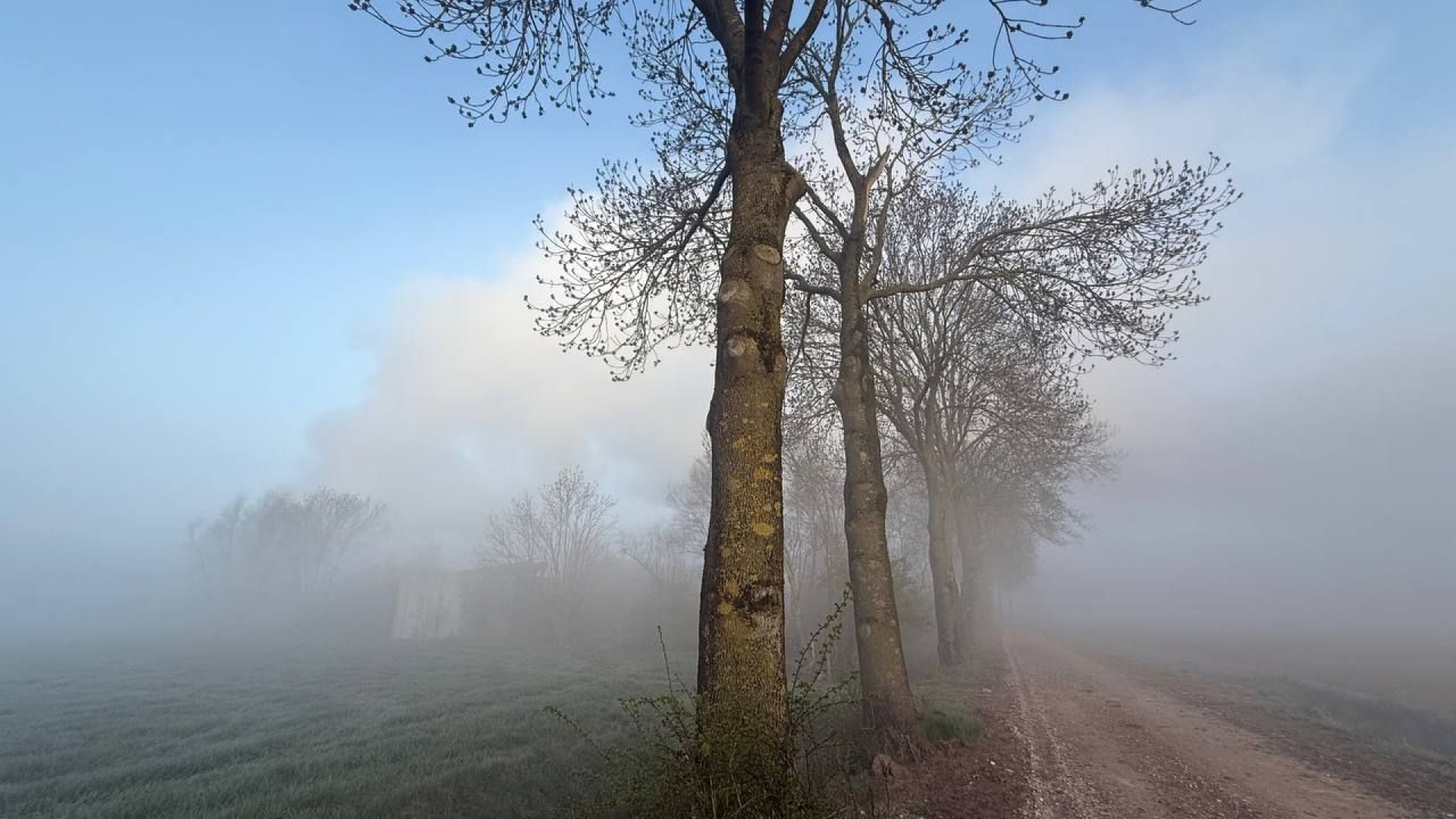 N816 weer open na hevige rookontwikkeling