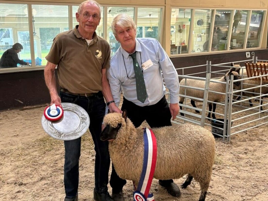 Na verlies van zijn vrouw neemt Klaas (89) haar hobby over en wint meteen het NK met zijn lammetje