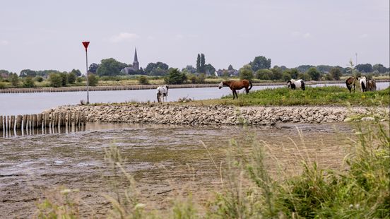 Ondanks regenbuien is het nog steeds heel erg droog Home