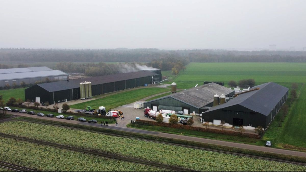 Vogelgriep in Oostrum: 223.000 leghennen geruimd