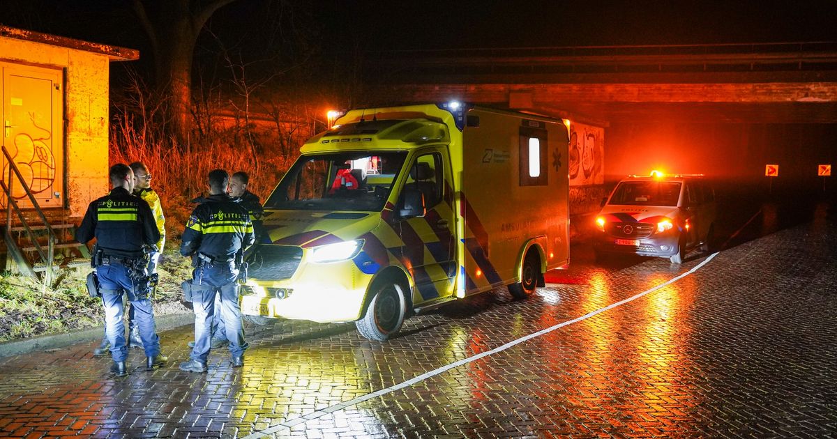 Fireworks Store Burglary in Groningen: Trailer and Fireworks Stolen