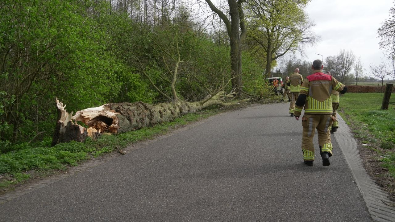 Brandje bij Tactus in Zwolle | Fietser gewond bij aanrijding in Enschede.