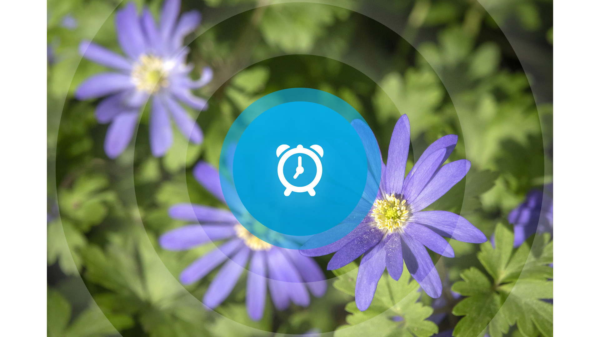 Goedemorgen! Inloopavond Colijnsplaat, nieuwe fietsroute Zwinstreek en crowdfunding voor supermarkt