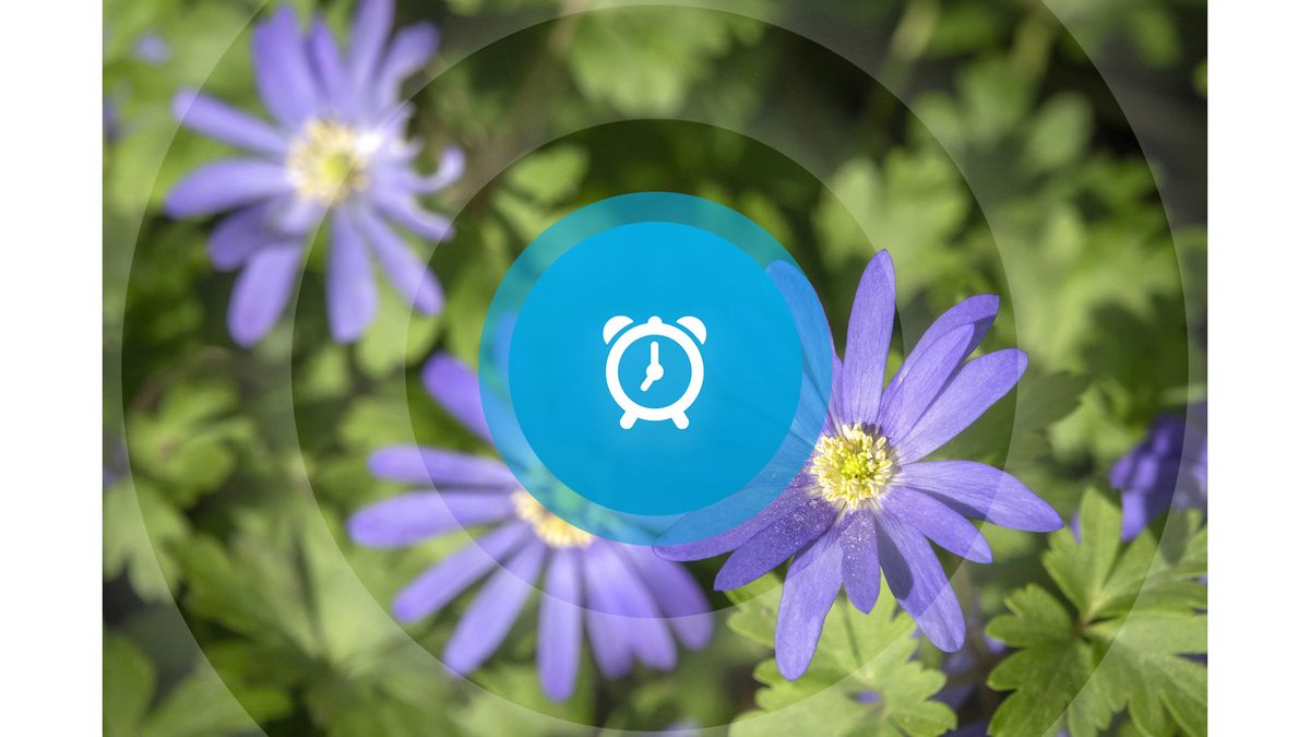 Goedemorgen! Inloopavond Colijnsplaat, nieuwe fietsroute Zwinstreek en crowdfunding voor supermarkt