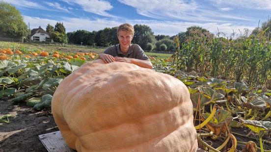 Foto: Herfstvakantie zorgt voor topdrukte bij pompoenkweker Gerjan
