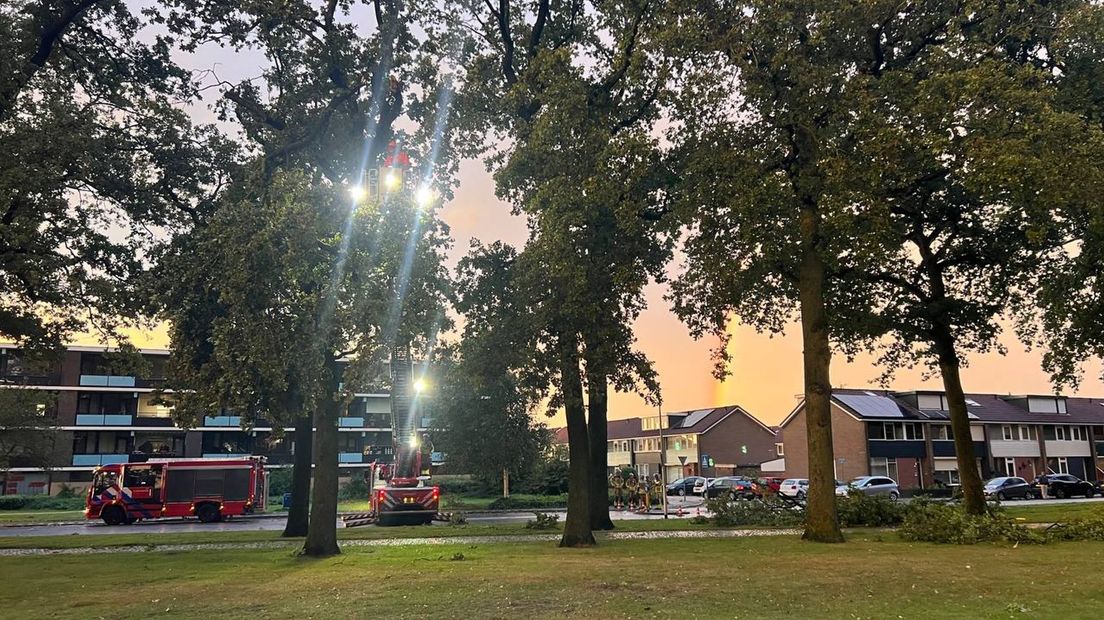 De brandweer moest in Almelo meerdere takken wegzagen.