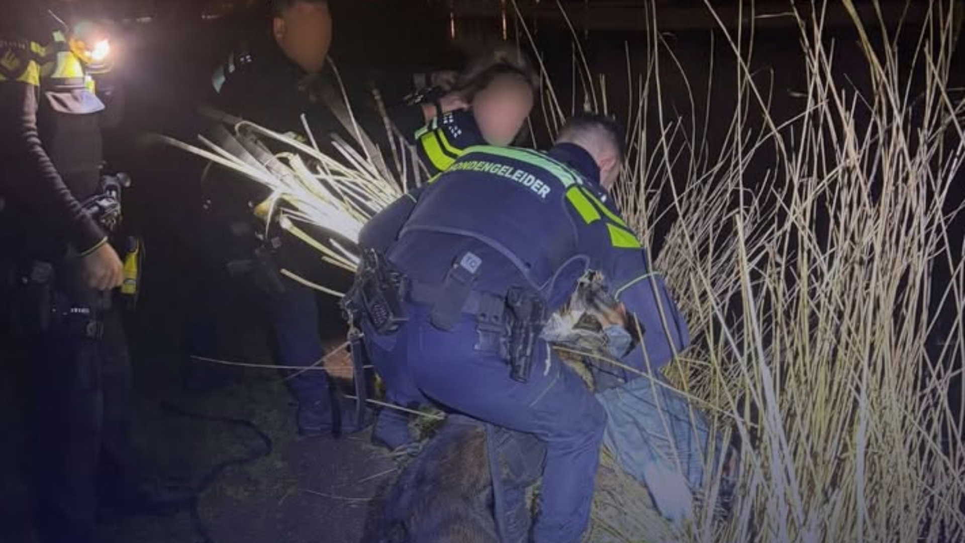 Agenten hoorden een oerkreet toen Goofy de man in zijn kraag vatte.