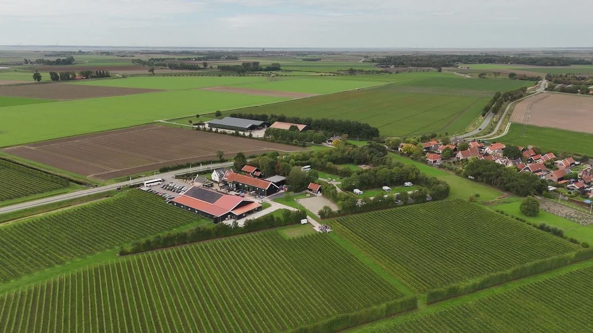 Wijnboerderij De Kleine Schorre bestaat 25 jaar