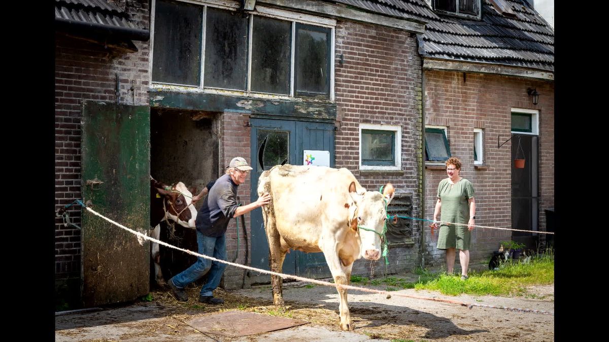 Alex Witteveen over zijn fotoserie Op de Gruppe