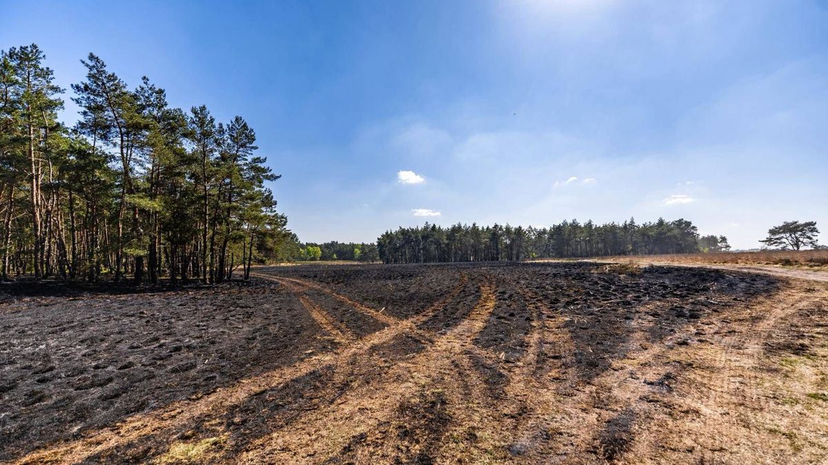 Brandweer rukt massaal uit voor natuurbrand in Otterlo