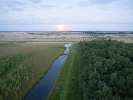 Herstel Fochteloërveen kan CO2-uitstoot met 162.000 ton terugdringen, maar natuur blijft onder druk staan