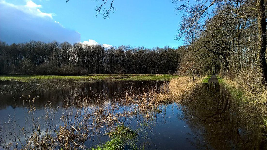 Het fietspad rechts verdwijnt in het water (Rechten: Jeroen Kelderman / RTV Drenthe)